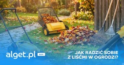 Jak zbierać liście z ogrodu? Grabie, dmuchawa i zamiatarka