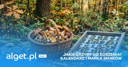 Jakie grzyby do suszenia? Kalendarz i mapka smaków